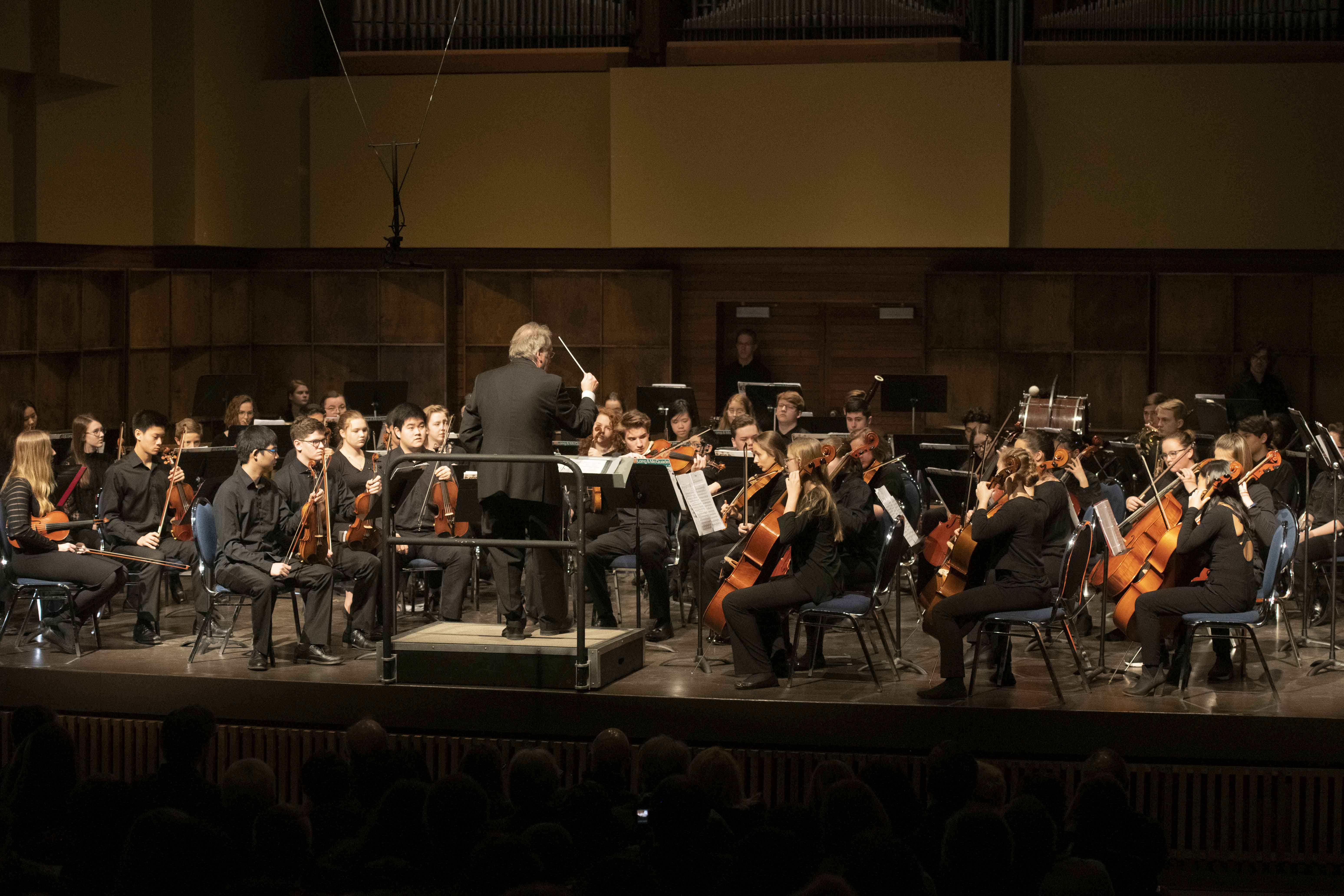 Newsletters - Calos Youth Orchestra